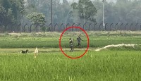 বাংলাদেশের অভ্যন্তরে প্রবেশ করে দুই রাখা...